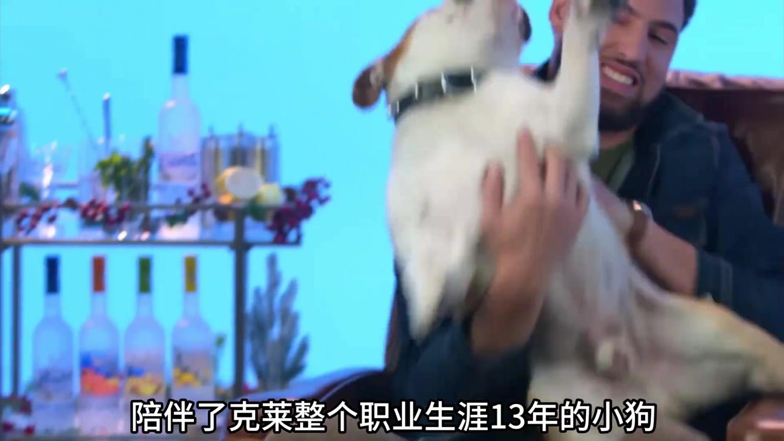 陪伴克萊13年的小狗去世了，不敢相信克萊得多么傷心